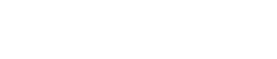 Troy Authority